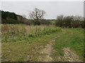 Footpath to East Beckham in East Beckham