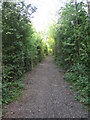 Bridleway near Calvert in Calvert Green