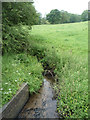 Stream, Cresswellshawe in ST7 3RQ