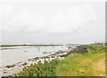 Bradwell Creek and Pewet Island in CM0 7GQ