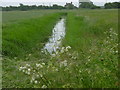 Dyke on Romney Marsh in TN29 9TP