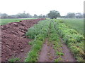 Public footpath across a field near Thirsk in YO7 2LY