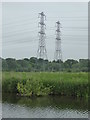 Electricity pylons on Waltham Marsh in EN9 1BN