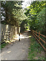 Footpath at  Bridge Wood in IP10 0LA