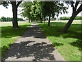 Avenue of trees in Goodmayes Park in IG3 9RA