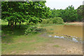 Pond, Horsell Common in GU21 5TE