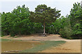 The sandpits, Horsell Common in GU21 5TE