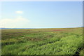 The Salt Marsh at Parkgate in CH64 6QQ
