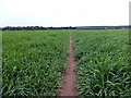 Narrow path through the long grass in NG20 9PF