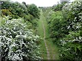 Former colliery railway at Market Warsop in NG20 0HQ