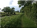 Grand Union Canal Towpath in LE8 0QR