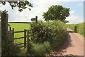 Path from Polehouse Lane in EX2 9QJ
