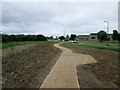 New path and landscaped shrub planting in HU7 5EQ