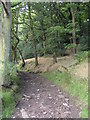 Footpath off Huddersfield Road, South Crosland in HD4 7DQ