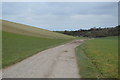 South Downs Way, Cricketing Bottom in BN7 3HA