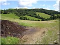 Pasture near Cefn du uchaf in SY21 9ER