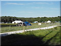 Campsite near Rempstone in BH20 5JH
