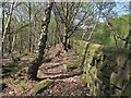 Wall alongside a railway cutting near Horsforth in LS16 6NT