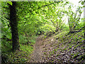 Path in Longfield Wood in HP10 8PE