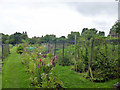 Allotments, Knotty Green in HP9 2UD