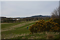Highland : Torvean Golf Club in IV3 8FF