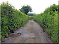 Bottom House Farm Lane in HP8 4NT