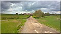 Track to Grives Farm in NG17 9BT