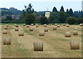 Field and bales next to the Grand Union Canal in LU7 9DE