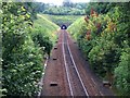Sandley tunnel in SP8 5ED