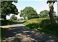 Country road near Burton Overy in LE8 9DE