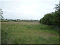 Farmland off Peter Lane in Cummersdale