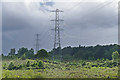 Pylons, Pirbright Ranges in GU18 5UZ