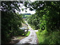 Lane to Ashcombe Farm in TA18 8QJ