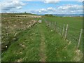 Path from Killoch Glen in G78 1TT