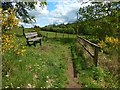 Bench beside path at Killoch Glen in Neilston