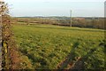 Pasture, Thorndon in EX22 6SJ