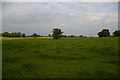 Wide open fields between Audlem and Hankelow in CW3 0HF