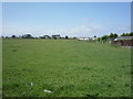 Grazing, Silloth in Silloth-on-Solway