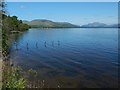 Shore of Loch Lomond near Auchenheglish Lodge in G83 8RA