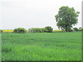 Farmland south of East Lodge Farm in North Yorkshire