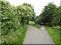 Ossett to Dewsbury greenway (NCN 699) in WF12 8NT