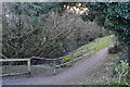 Path, Kinterbury Creek Nature Reserve in PL5 1RA
