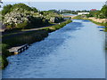 Forth and Clyde Canal in the Bankside area of Falkirk in FK2 9GE