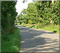 Gaulby Lane near King's Norton in King's Norton