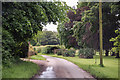 Lane near St Faith's church, Little Witchingham in Little Witchingham