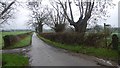 Road from Wickton in Ford and Stoke Prior