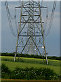 Pylon Line west of Skidby in HU20 3XH