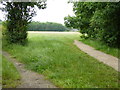 Looking across Nightingale Meadows from public footpath in BN6 9ND