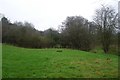 Field and brook, Hope under Dinmore in HR6 0PR