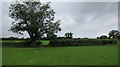 Field edge boundary on Puxton Moor in BS49 5ED
